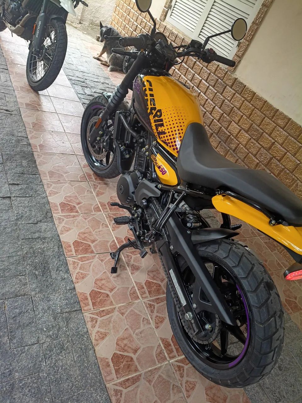 Guerrilha 450 - Foto 3
