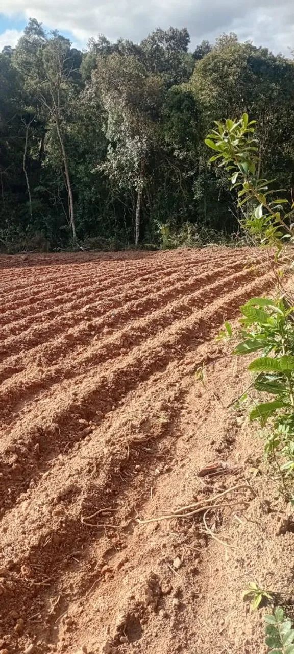 Chácara venda em Quitandinha. - Foto 2