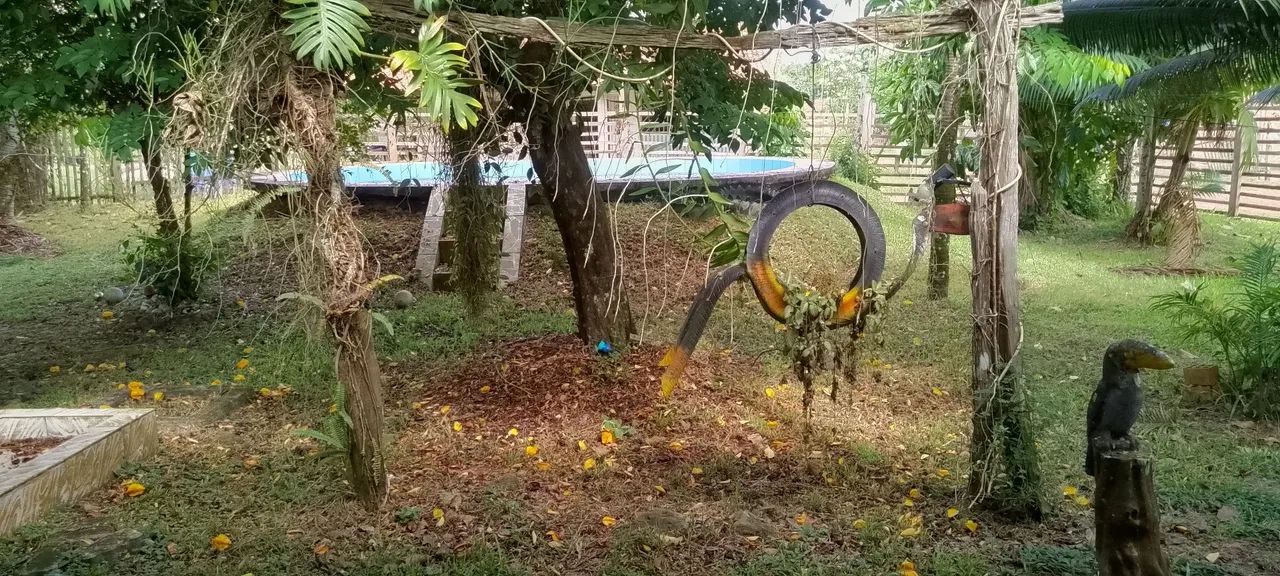 Vendo Excelente Chácara com duas Casas uma de hóspede e a principal  - Foto 3