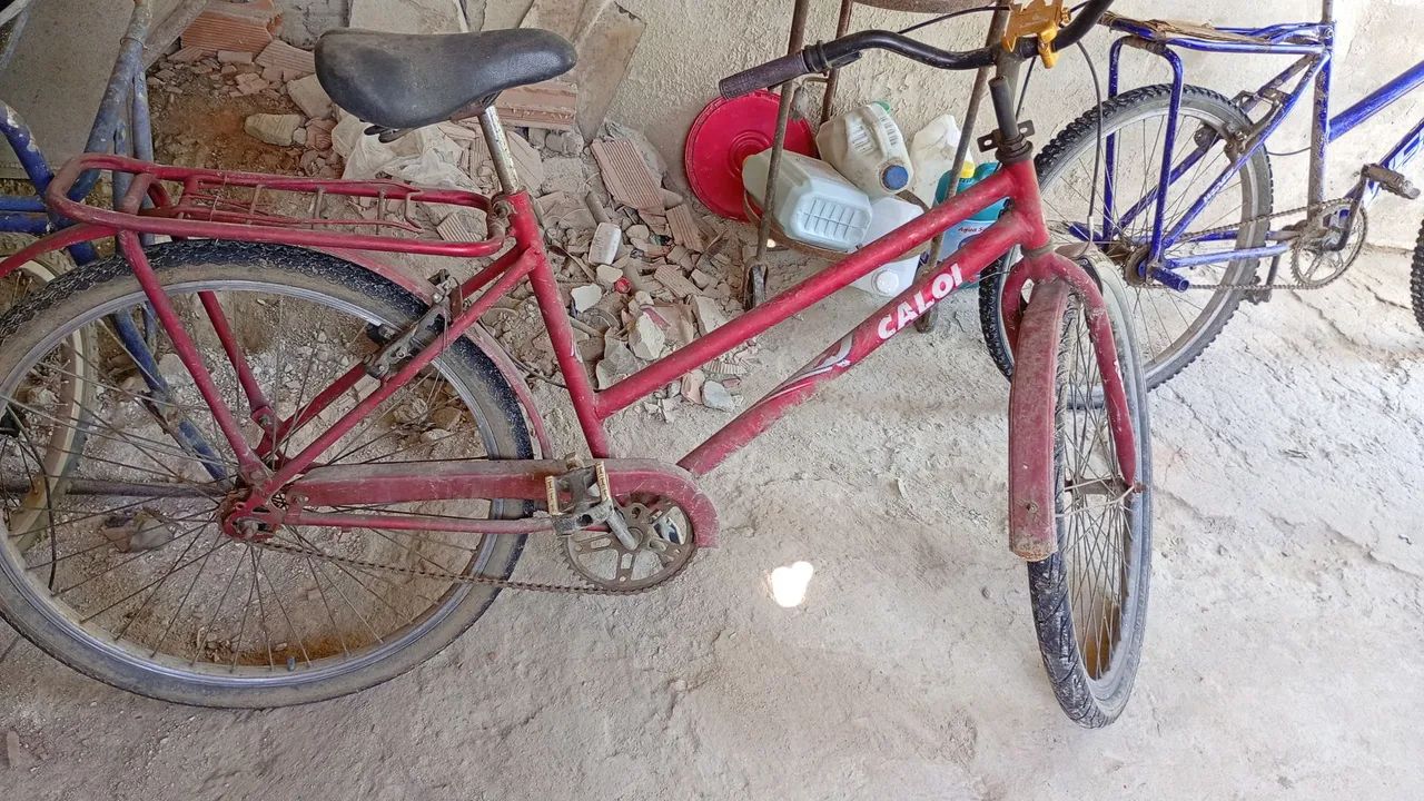Bicicleta poty caloi