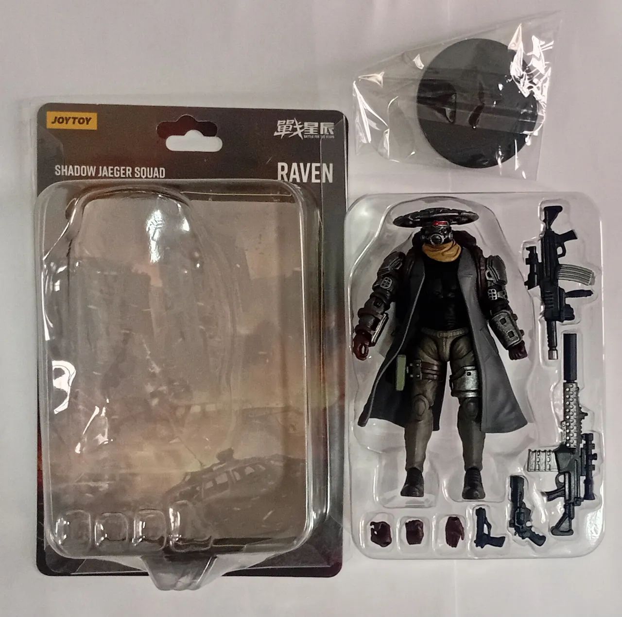 Joytoy Raven