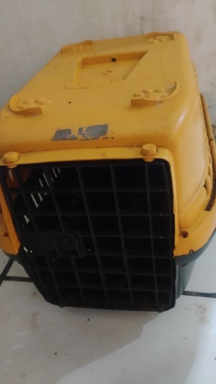 Caixa p transportar Gato  - Foto 3