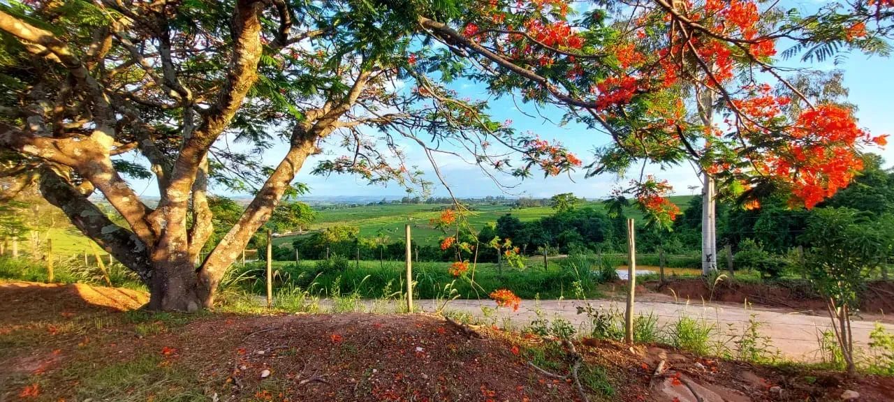 sitio em mococa 3 alqueires 1.700.000.00   ( re ) - Foto 2