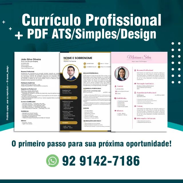 Currículo em PDF Profissional 