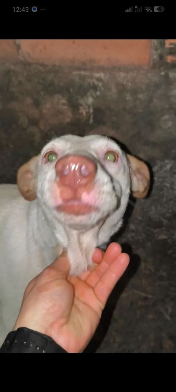 Doação 