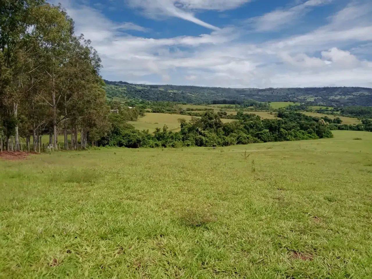 sitio em mococa 3 alqueires 1.700.000.00   ( re ) - Foto 5