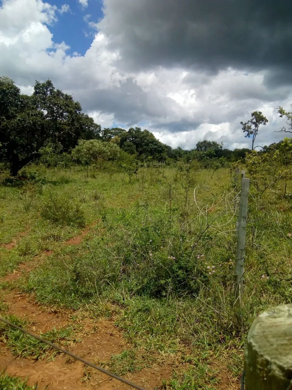 Chácara município de  Bonfinópolis,GO- 8 km da cidade - Foto 2