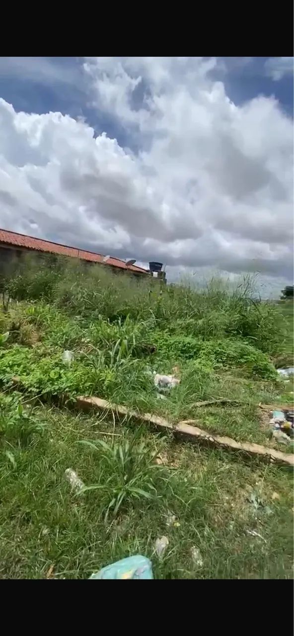 Terreno 6x25