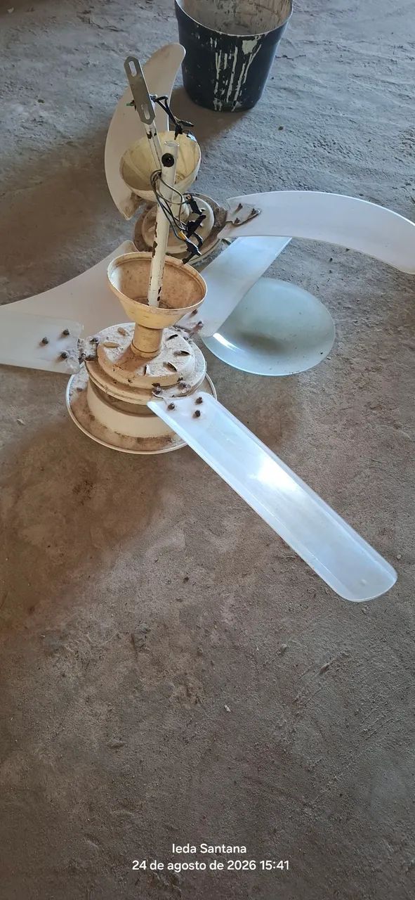 Ventilador de teto - Foto 4