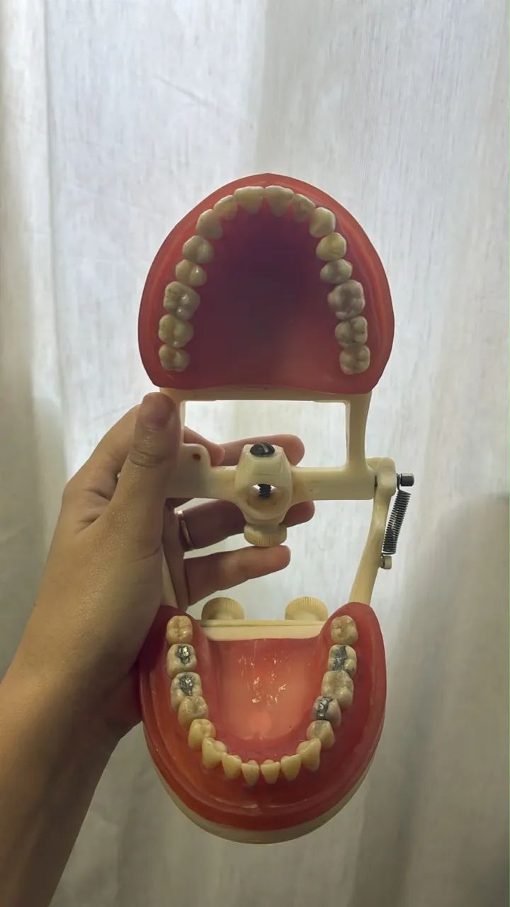 Manequins odontológicos 
