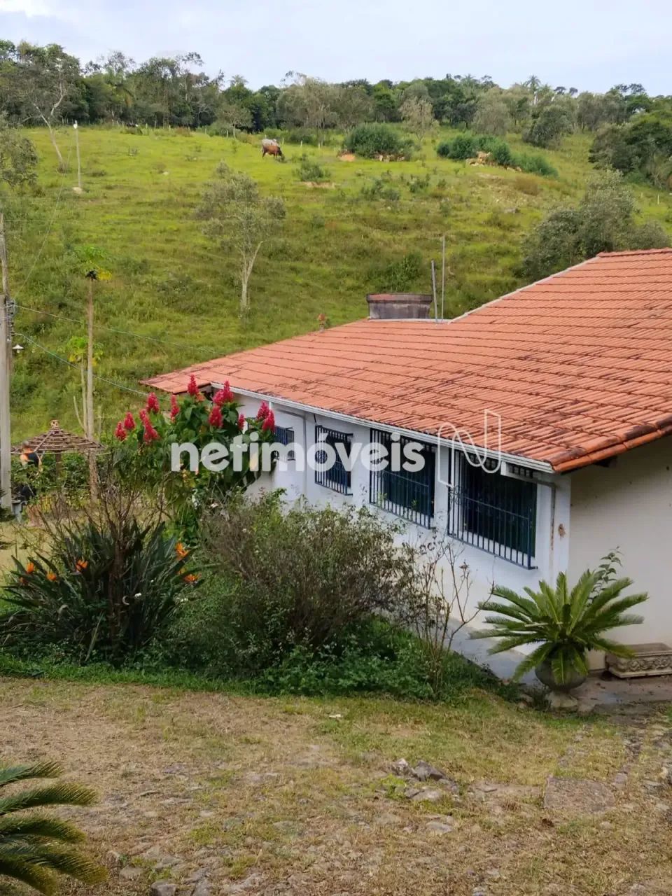 Venda Sítio Zona Rural Caeté - Foto 2