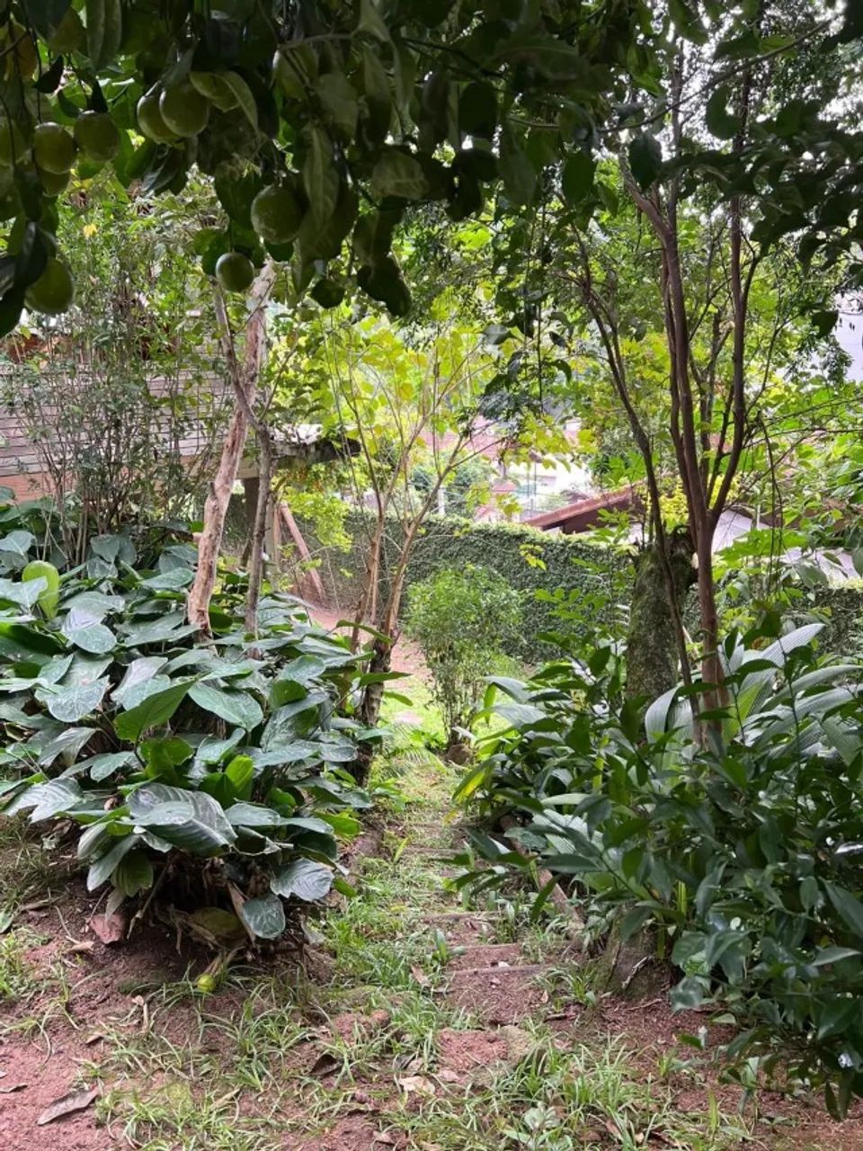 Terreno de 240 m² no Rio Tavares - Foto 4