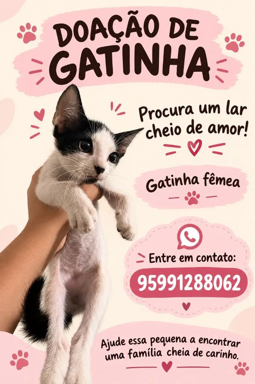 Doaçao de gato  - Foto 2