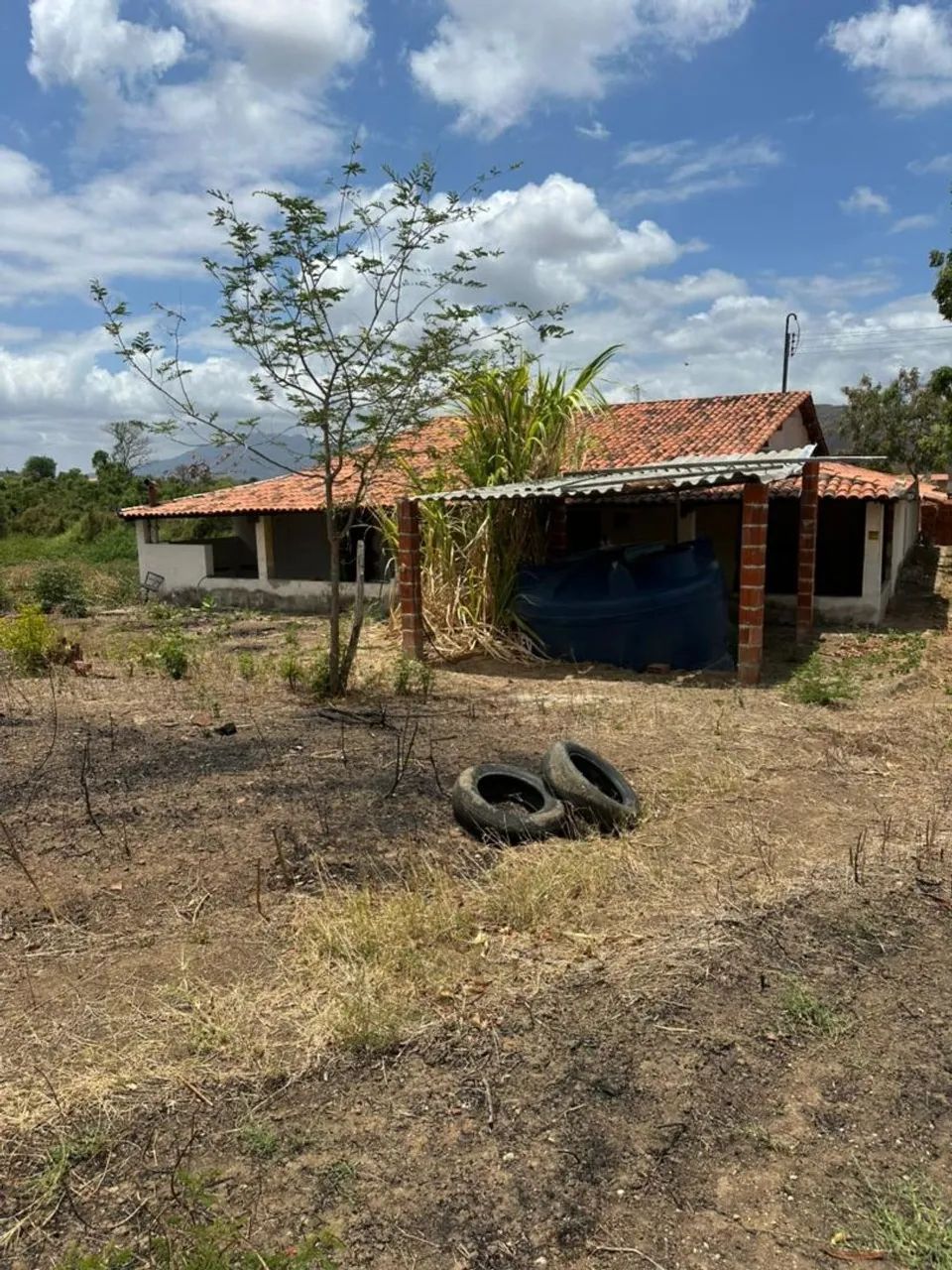 Fazenda  El Shadday ( São Luiz) - Foto 3