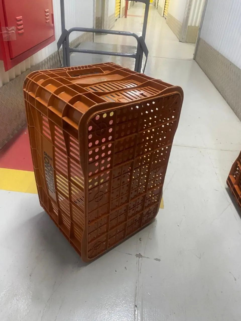 Caixa Plástica Agrícola Vazada Borda Alta 20kg - Foto 3