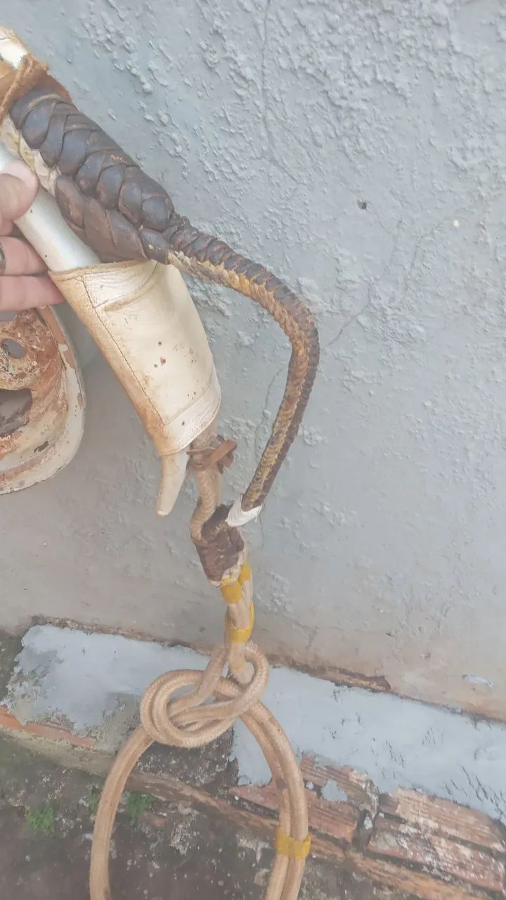 Traia rodeio - Foto 2