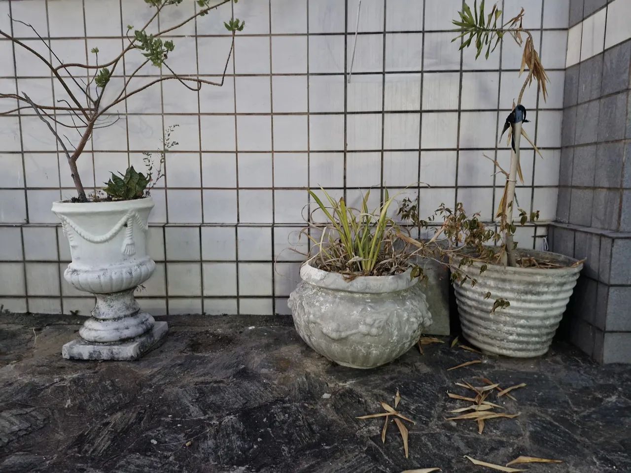Jarros ornamentais cimento - Foto 5