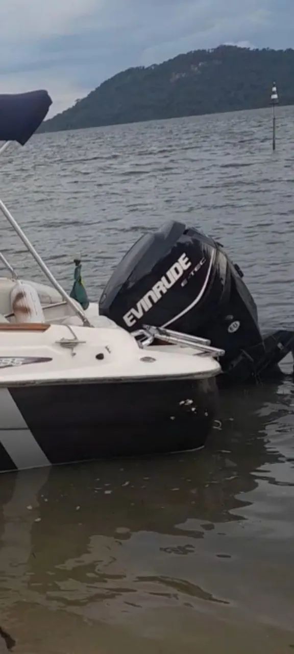 Motor Evinrude E-Tec 115 - Foto 2