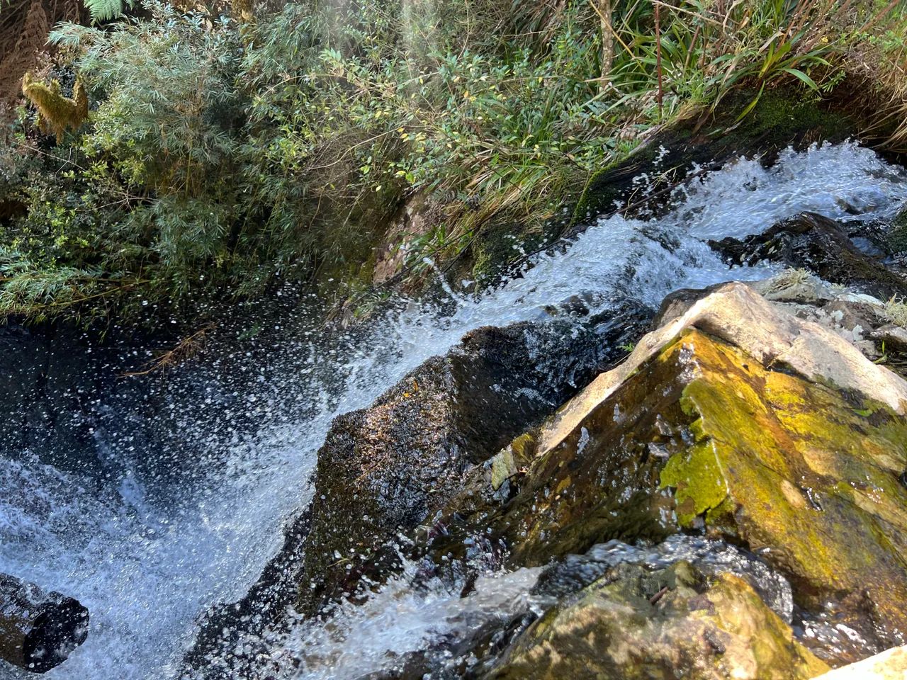 Terreno com 86 hectares em Urubici. - Foto 4