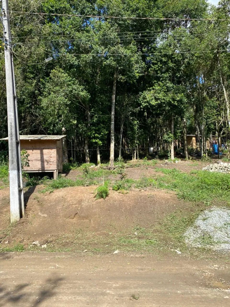Terreno Alexandra 12x80