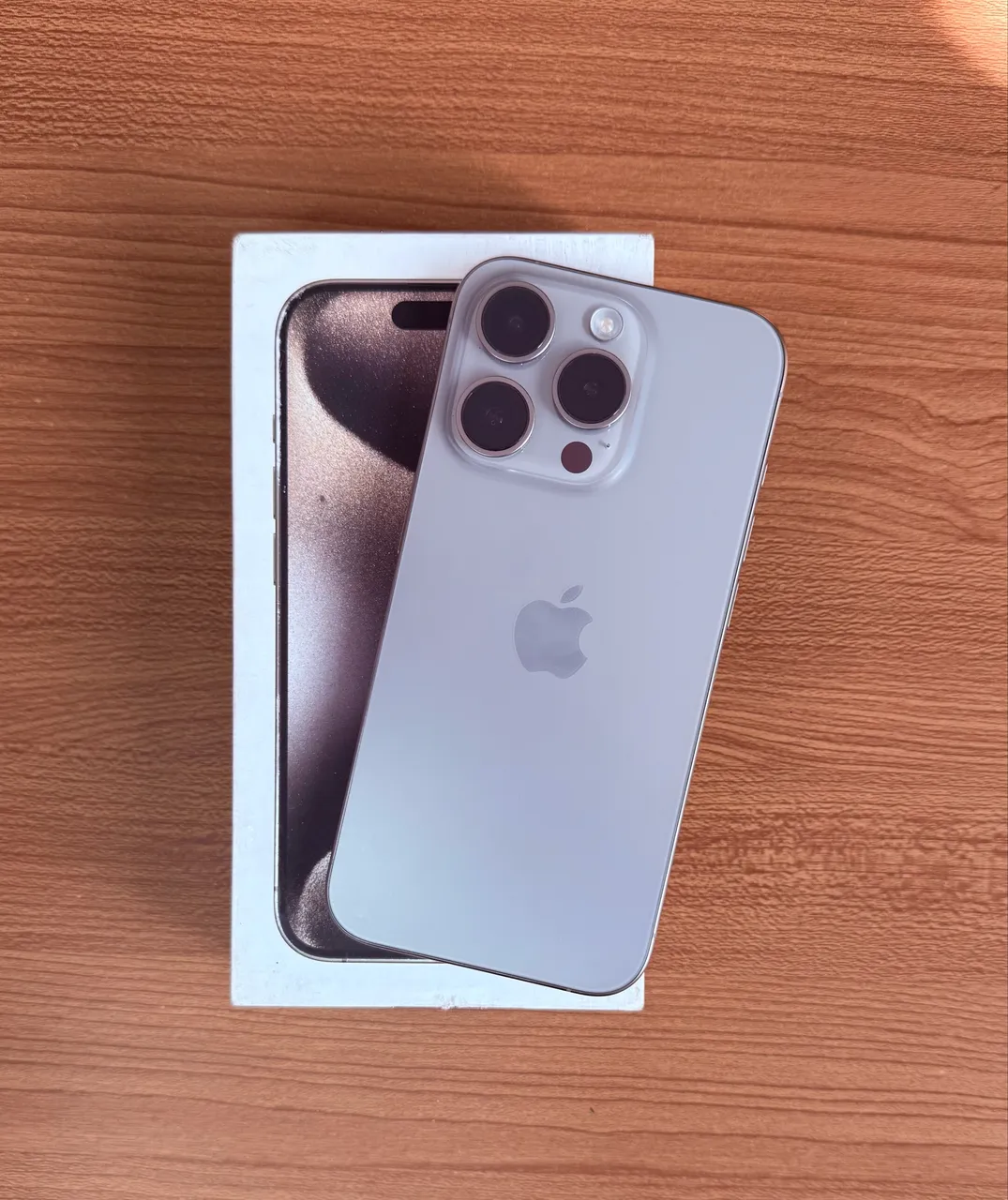 iPhone 12 Pro Max - Celulares e Smartphones - Maria Teresa, Belo