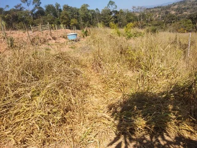 Terreno  - Foto 4