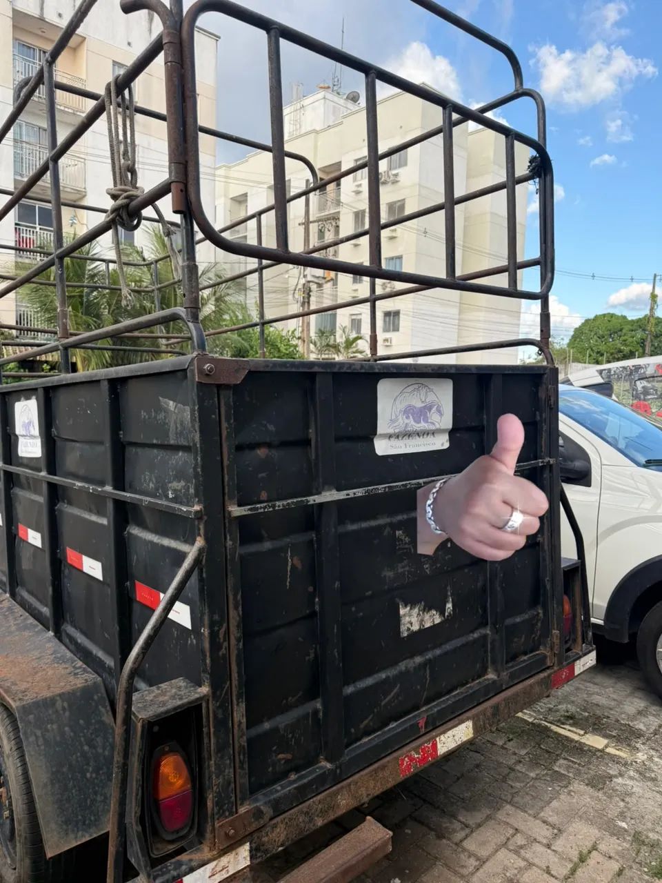 Caretinha pra cavalos etc?. - Foto 3