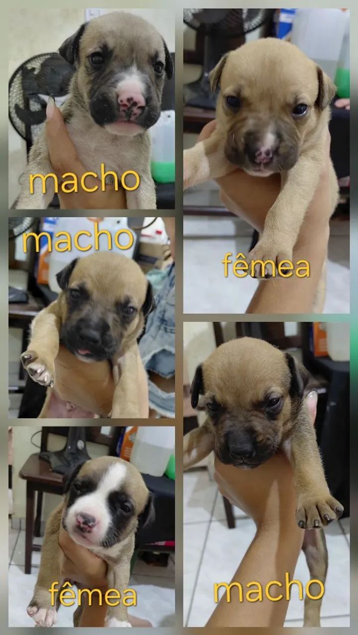 Doação  - Foto 2