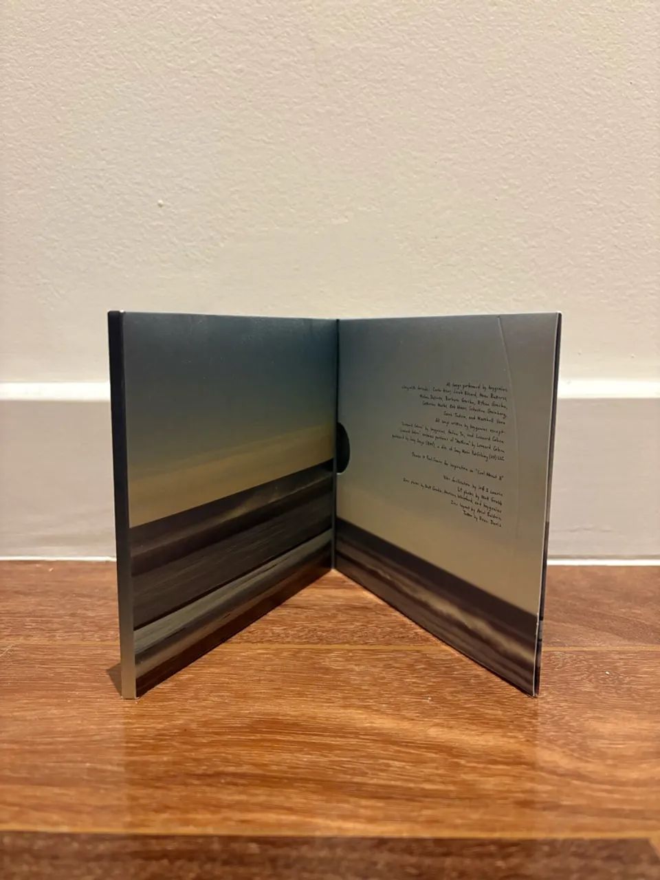 CD Boygenius - The Album - Foto 2