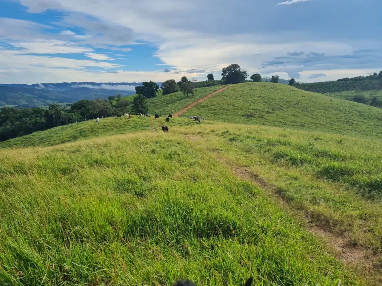 Fazenda a venda em Jacutinga -MG - Foto 5