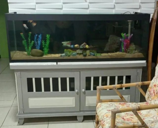 Aquário completo - Foto 4