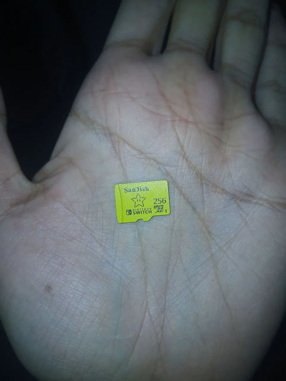 MicroSd 256gb