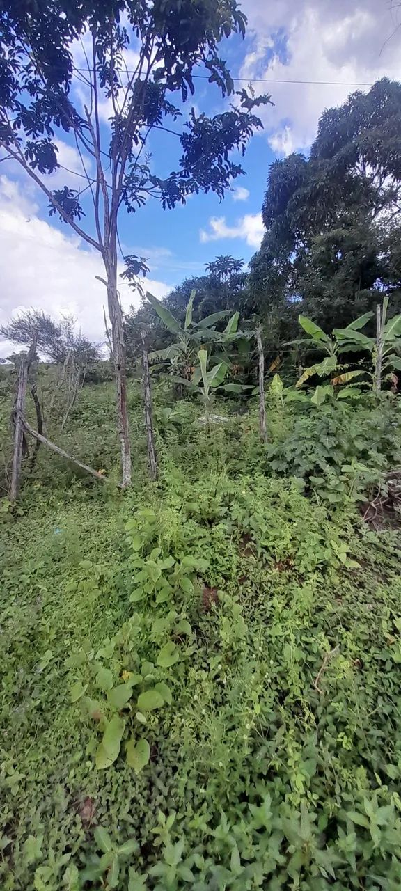 Vendo terreno no guajará  - Foto 4