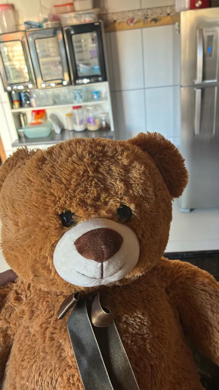 URSO DE PELÚCIA - Foto 2