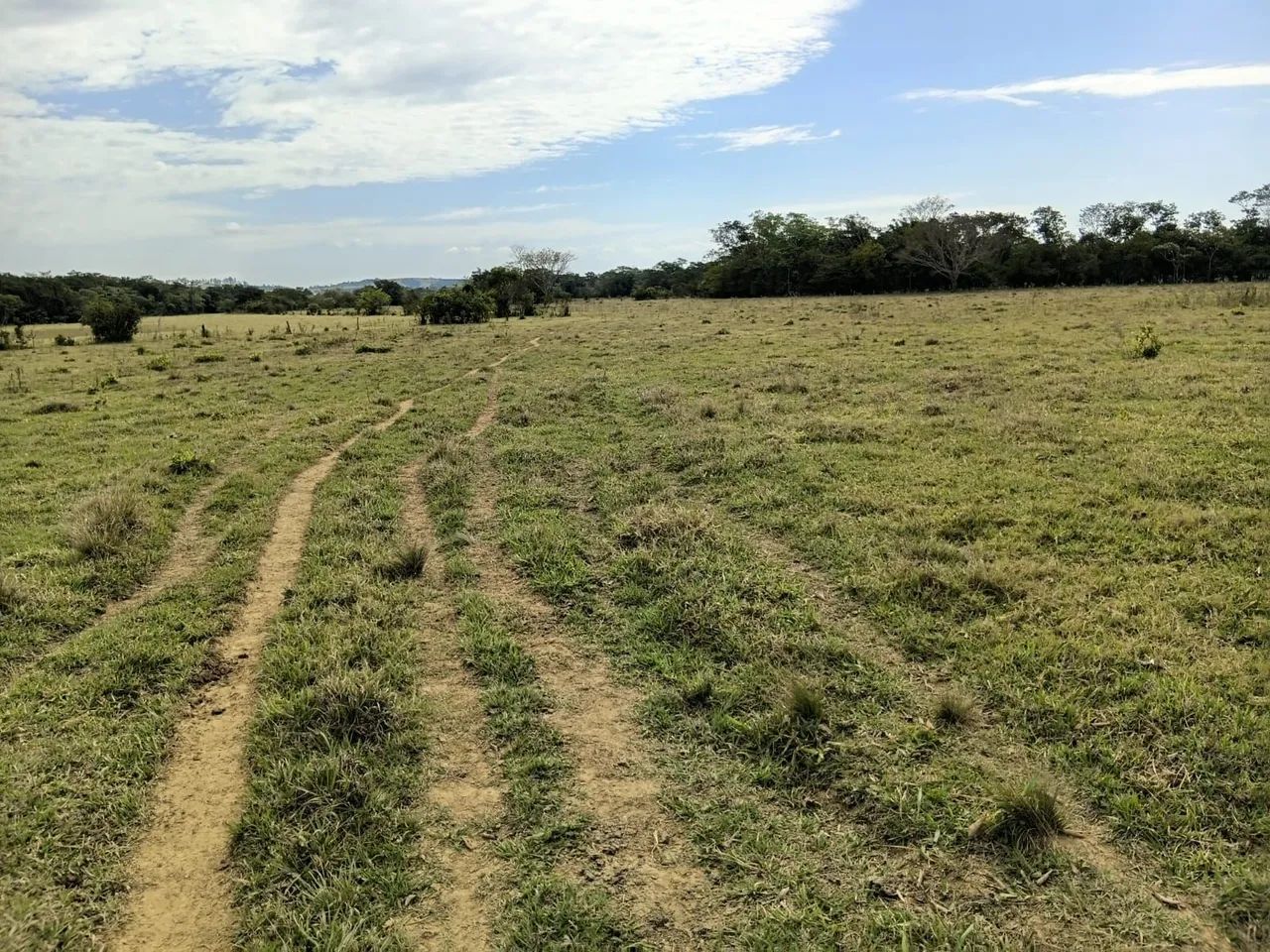 FAZENDA 53 ha EM IGUATAMA - Foto 2
