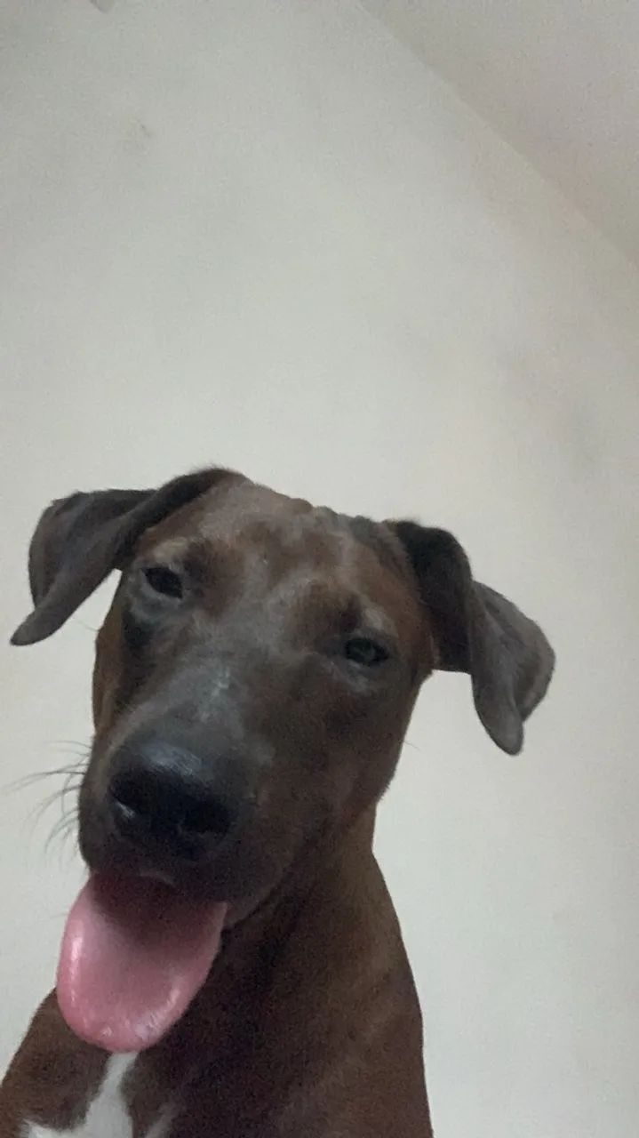 Doação 