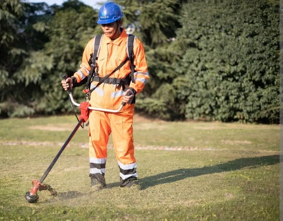 Serviços de Motosserra e Roçadeira  - Foto 2
