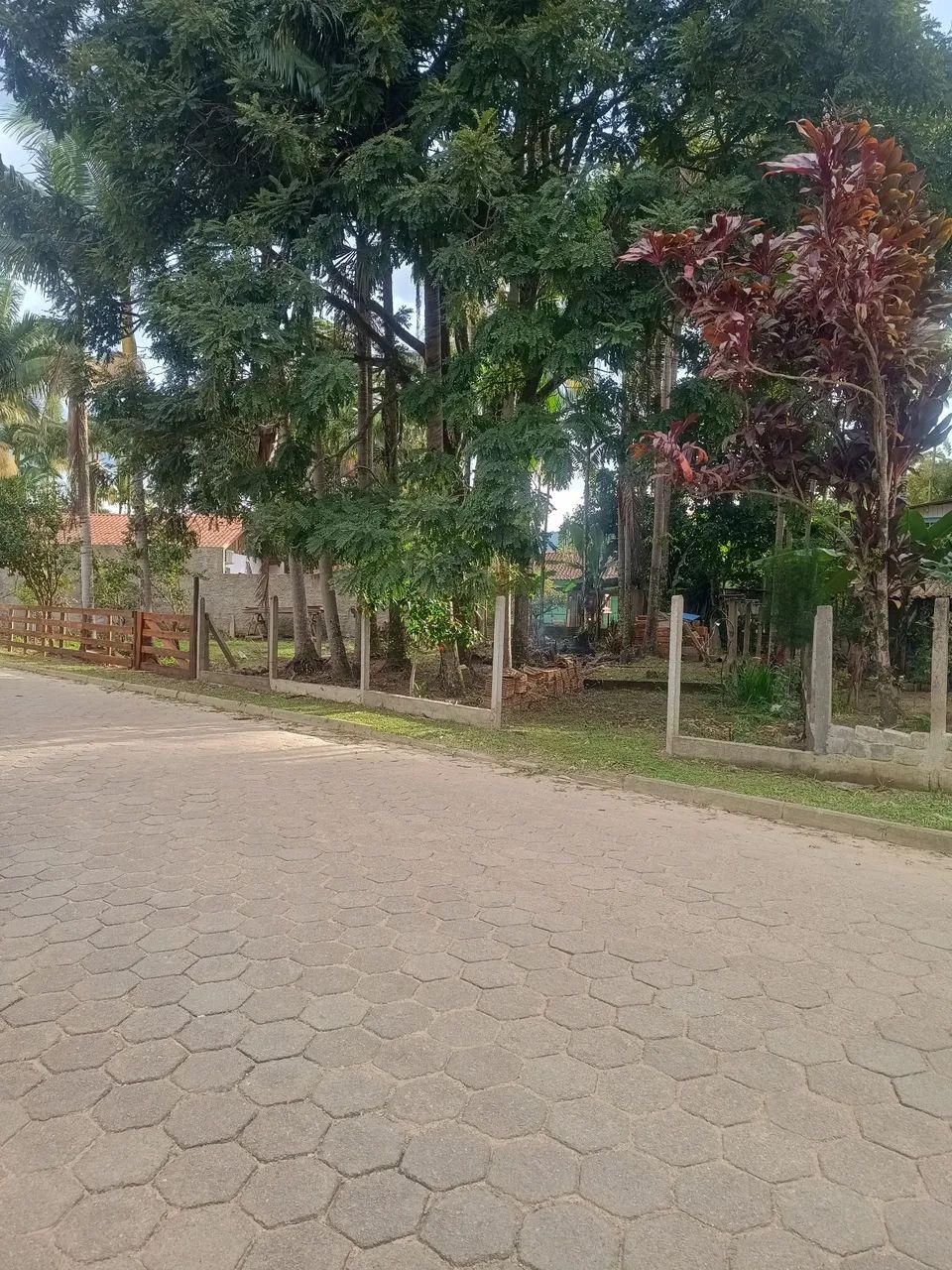Vendo terreno bairro , OLIVEIRA tijucas - Foto 4