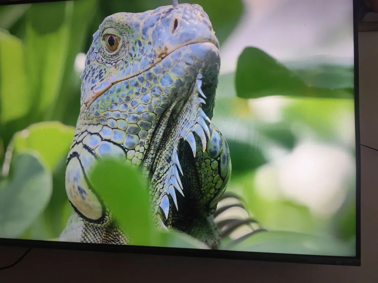 TV PHILCO DOLBY ÁUDIO 4KUHDTV PHILCO DOLBY ÁUDIO 4KUHD - Foto 4