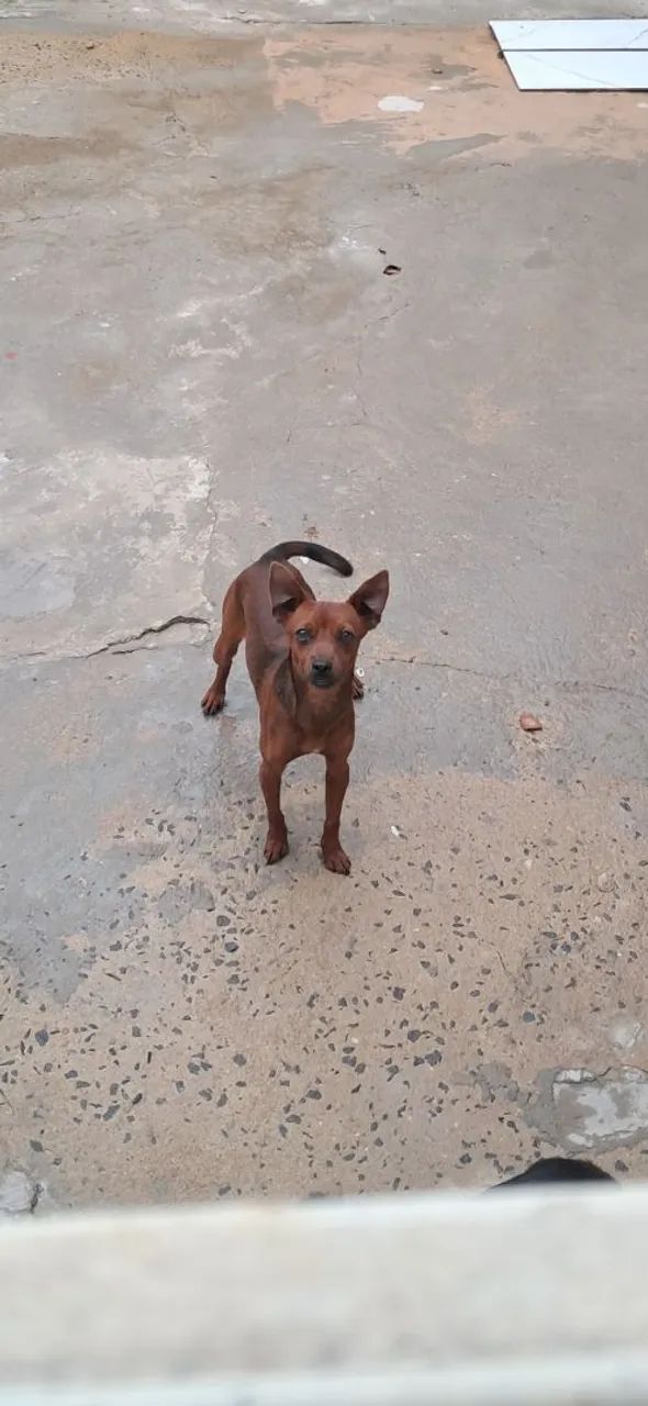 Doação - Foto 3