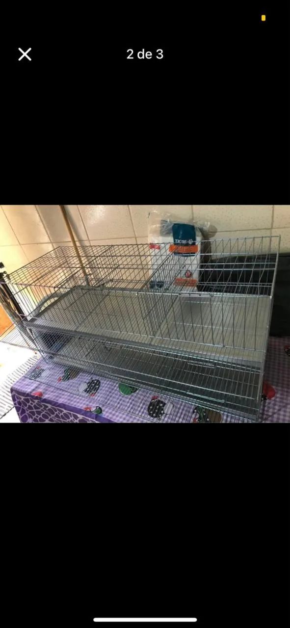 Gaiolas para Codornas  - Foto 2
