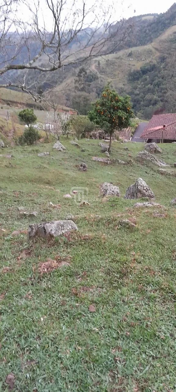 Sítio 28400m² - RIO CAETE - Foto 3