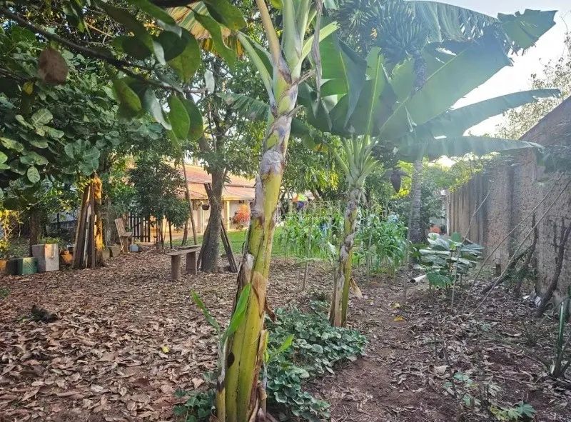 CHÁCARA - GRAN PARK RESIDENCIAL- VENDA - Foto 3