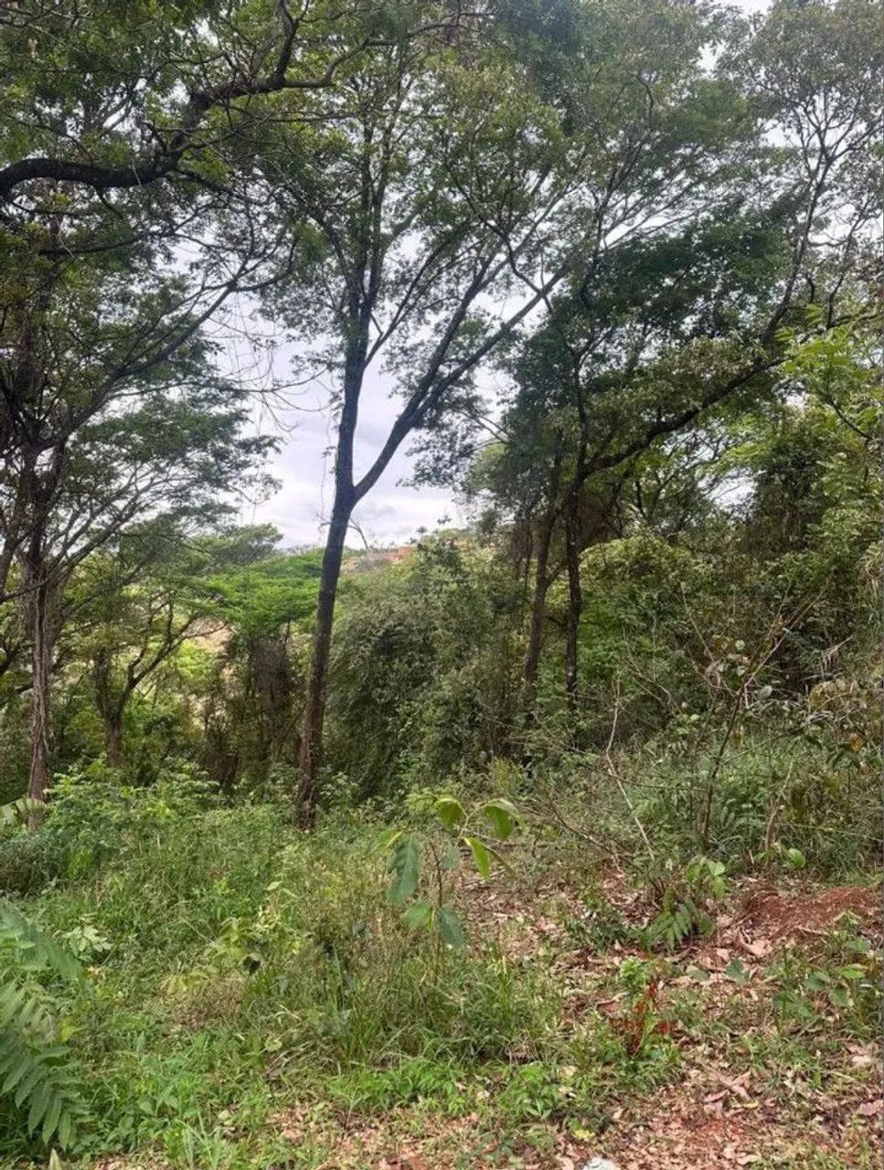 CHÁCARA 3.000 M² CONDOMÍNIO EM IGARAPÉ 