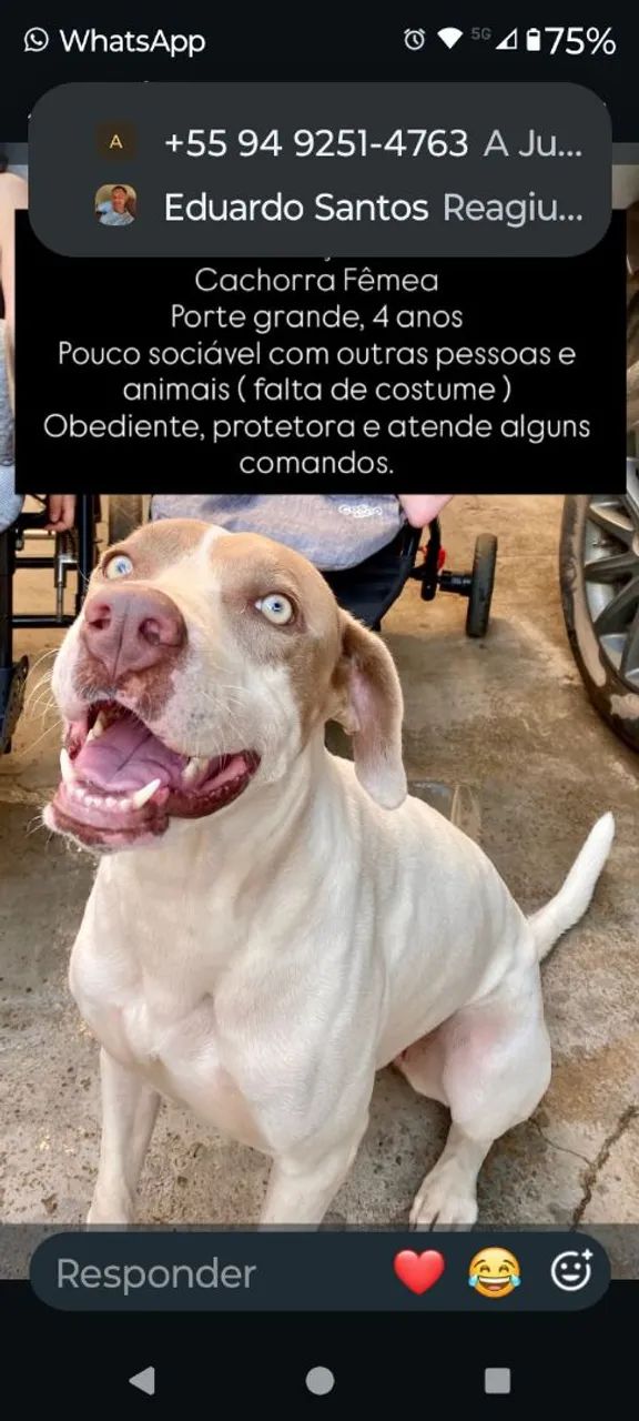 doação  - Foto 2