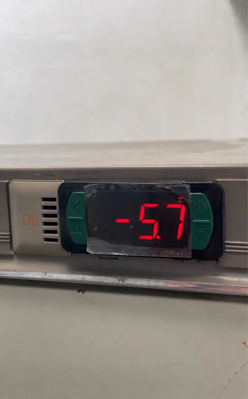 Freezer vertical 