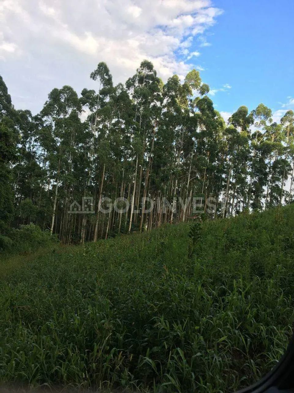Chácara / Sítio à venda, Não Informado - Botuverá/SC - Foto 5