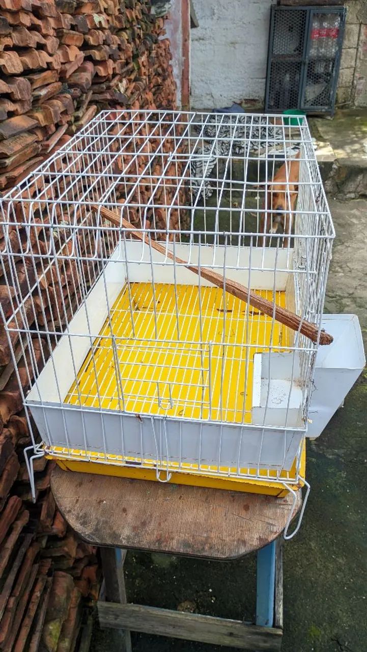 Vende-se Gaiola Para Calopsita  - Foto 2