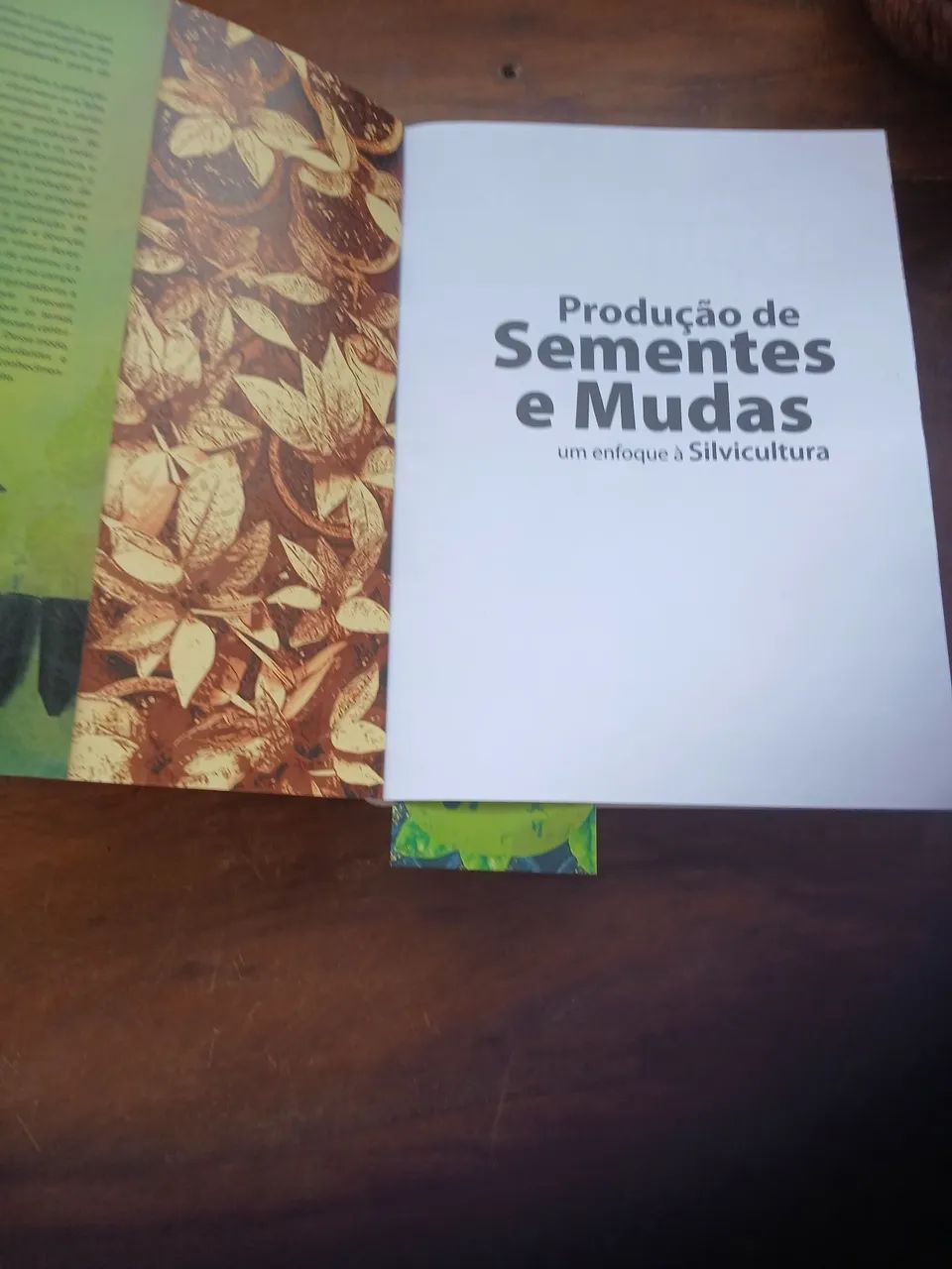 Livro Produção de sementes e mudas - Foto 2