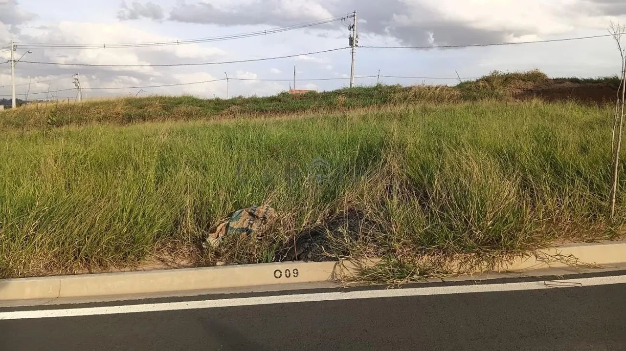 terreno - Campo Grande - Campinas